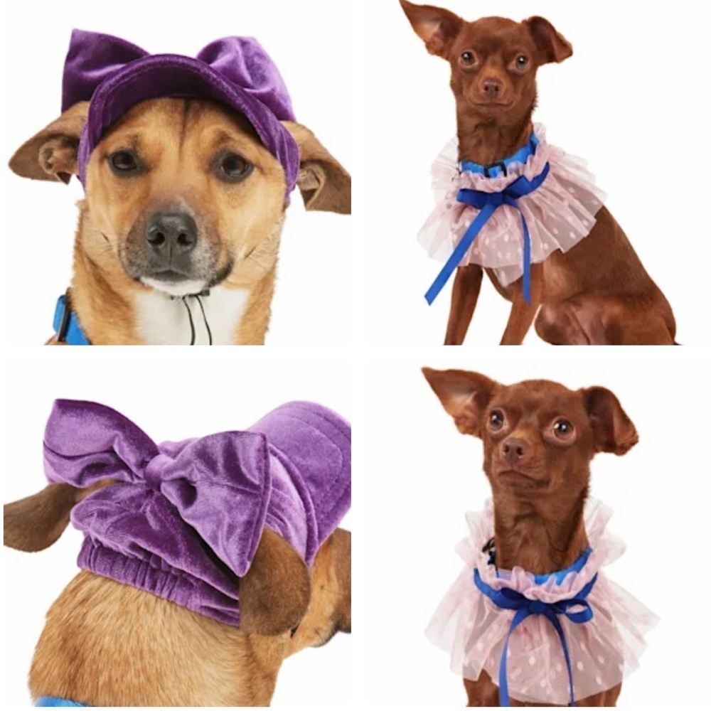 Bundle Dog Hat & neck accessories XS/S